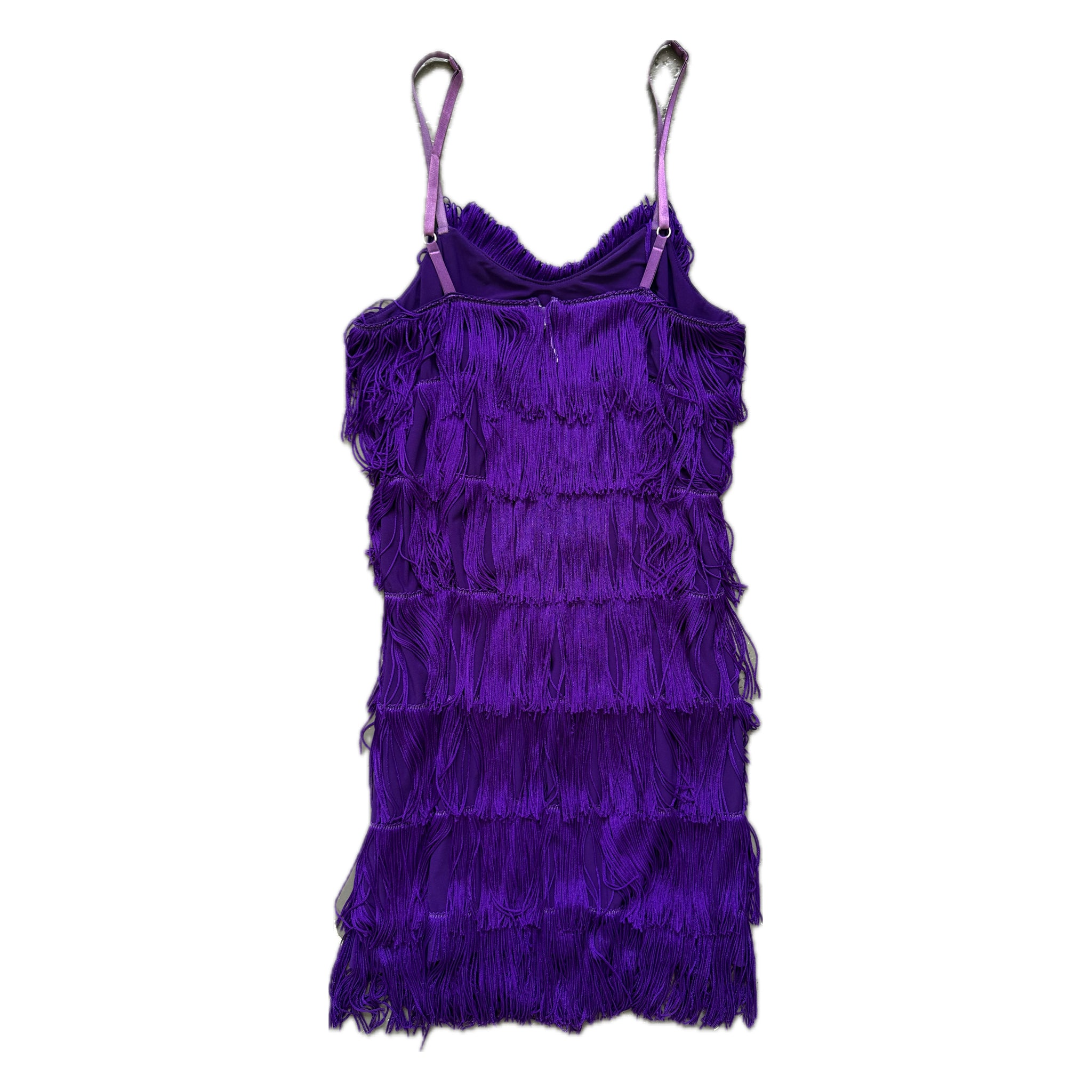 Vintage fringe dress
